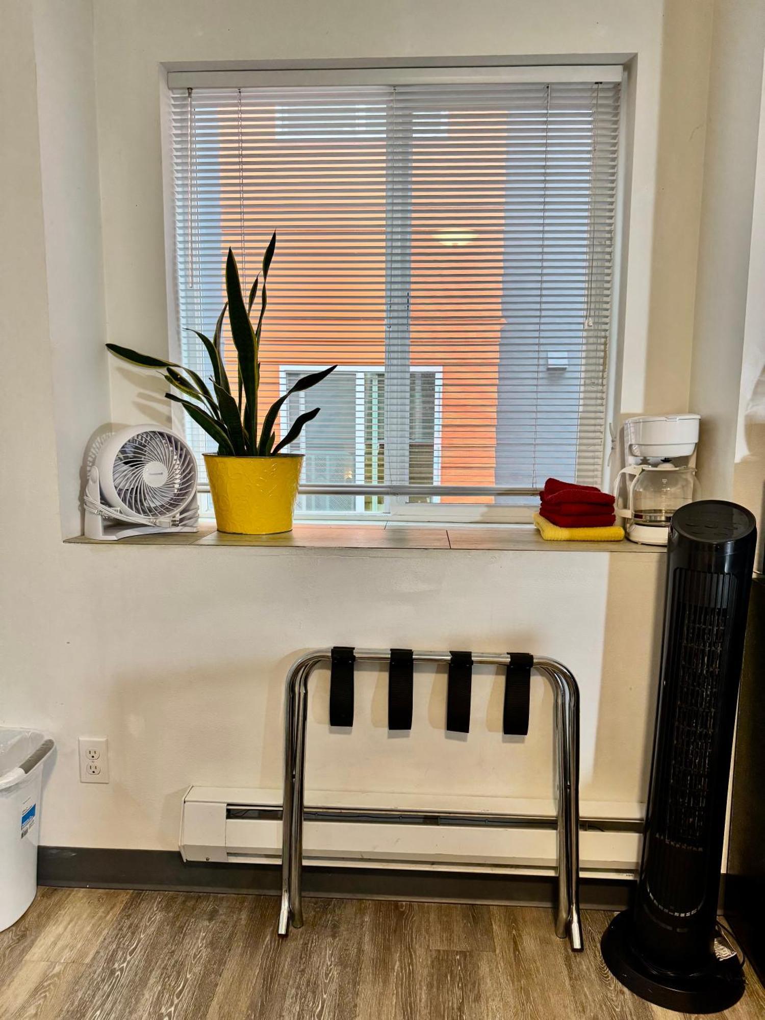 Micro Studio Apartment 10 Minutes Walk To University Of Washington Сиэтл Экстерьер фото